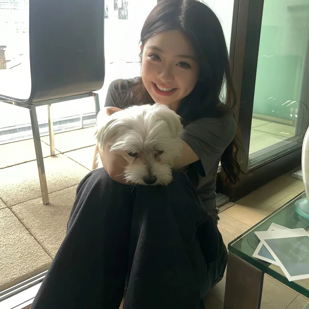 妙计算乾坤 在线观看